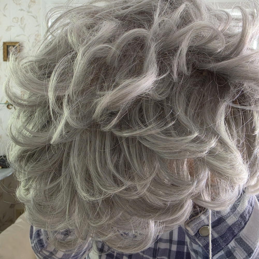 Stylish Short Curly Womens Wig in Ash Gray